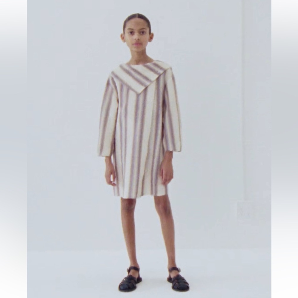 NWT ZARA textured dress